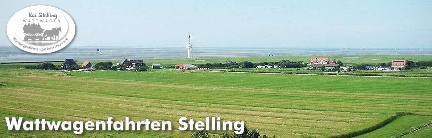 Mit dem Wattwagen von Cuxhaven zur Insel Neuwerk