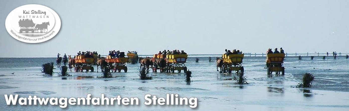 Mit dem Wattwagen von Cuxhaven zur Insel Neuwerk